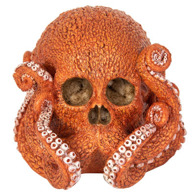 Octopus Skull