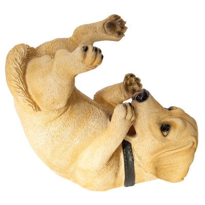 Drinking Golden Dog Bottle Holder