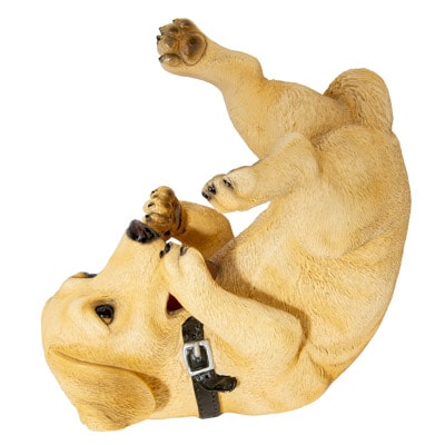 Drinking Golden Dog Bottle Holder